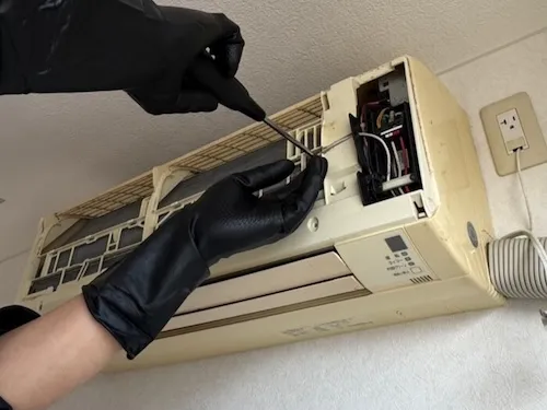 本体分解